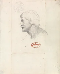 アポロの頭
